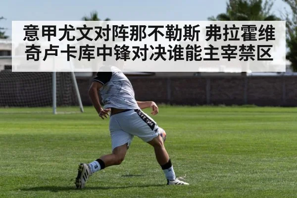 意甲尤文对阵那不勒斯 弗拉霍维奇卢卡库中锋对决谁能主宰禁区